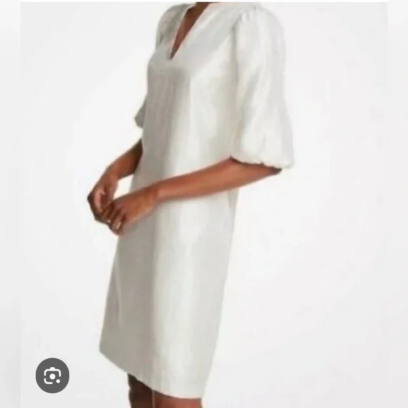 Ann Taylor champagne shift dress - Picture 3 of 6